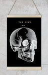 Black Skull Anatomy