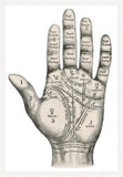 Palmistry Mystic Hand White