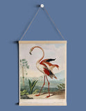 The Flamingo