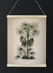 Livistona Humilis Palm Tree