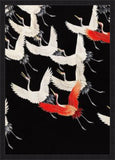 White Cranes and Red one flying Kimono