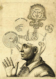 Latin Thinker