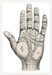 Palmistry Mystic Hand White
