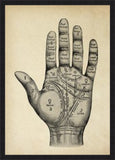 Palmistry Mystic Hand Vintage