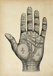 Palmistry Mystic Hand Vintage