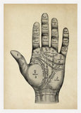 Palmistry Mystic Hand Vintage