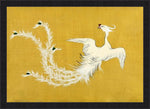White Phoenix by Sekka
