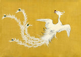 White Phoenix by Sekka