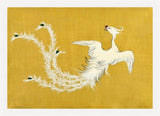 White Phoenix by Sekka