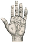 Palmistry Mystic Hand White