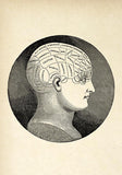 Phrenology Classic