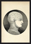 Phrenology Classic