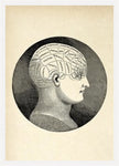 Phrenology Classic